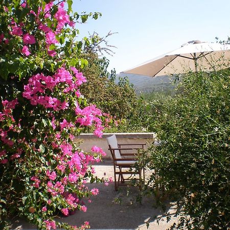 Villa Ouranos Kissamos Ngoại thất bức ảnh